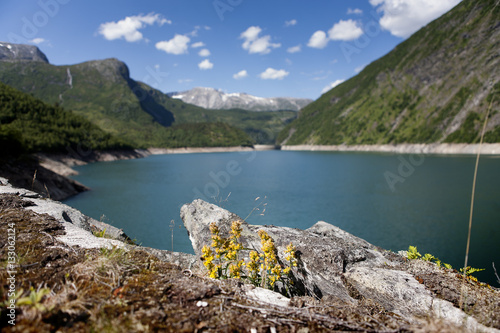 Fototapeta Naklejka Na Ścianę i Meble -  Norway Lake