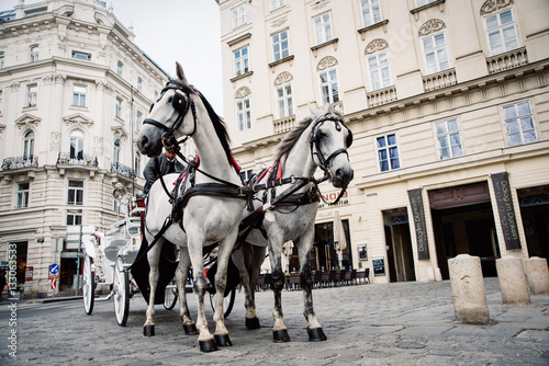Fiaker (Kutsche) in Wien, Österreich