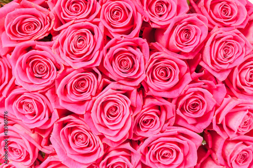 Plenty pink natural roses seamless background
