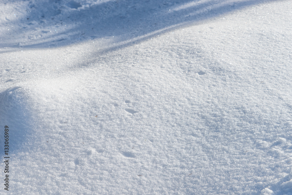 Beautiful natural snowdrift on a sunny day in the forest Beautiful natural snowdrift on a sunny day in the forest