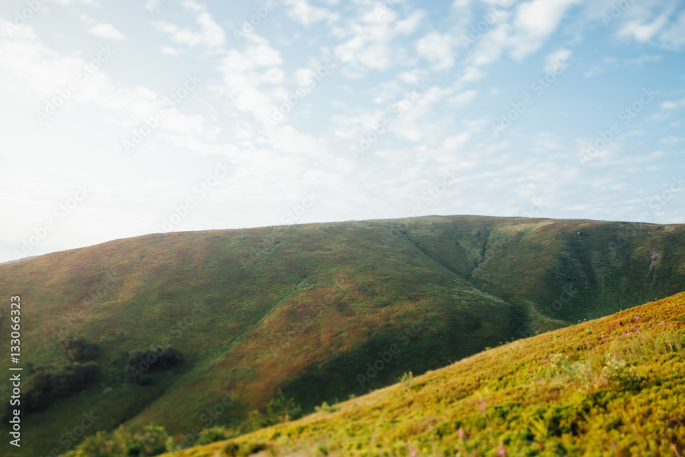 Fototapeta premium ukrainian carpathian mountains. Beautiful mountain landscape.
