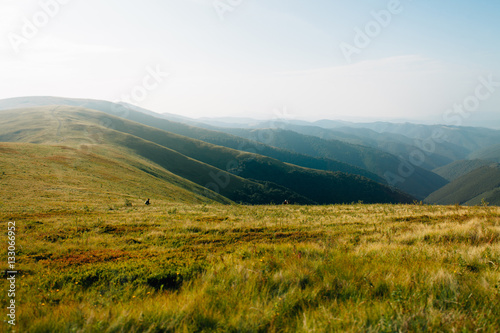ukrainian carpathian mountains. Beautiful mountain landscape.