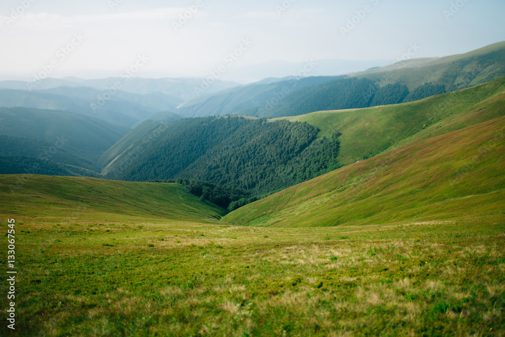 Fototapeta premium ukrainian carpathian mountains. Beautiful mountain landscape.