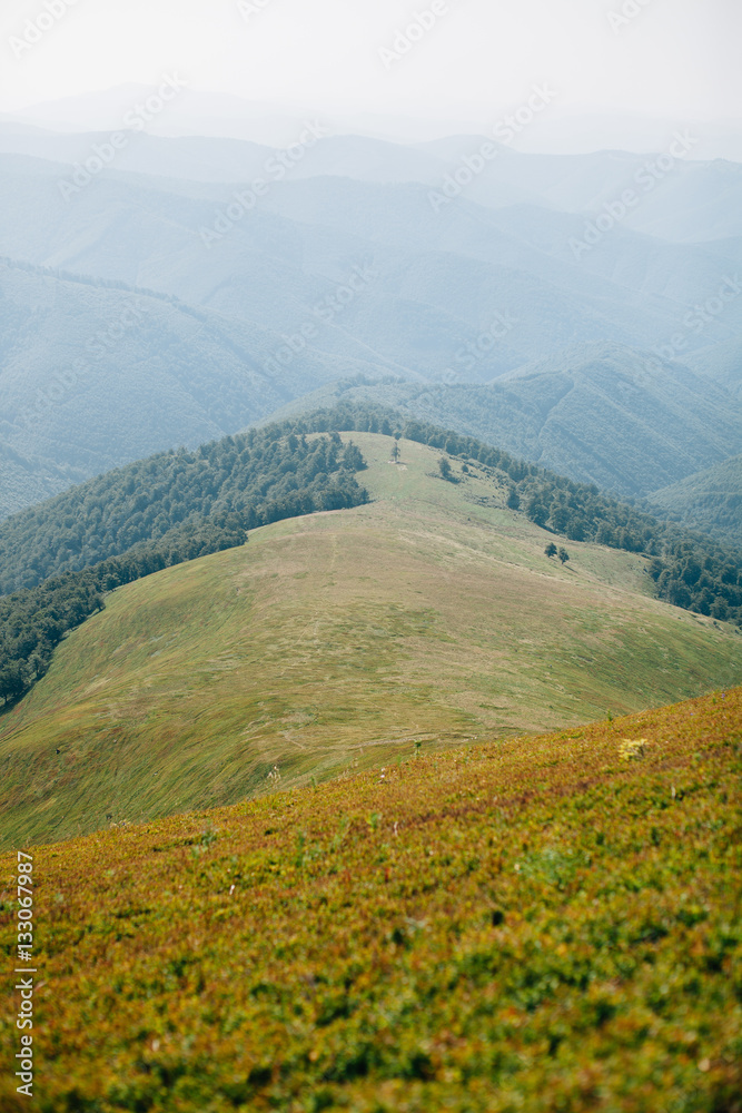 Fototapeta premium ukrainian carpathian mountains. Beautiful mountain landscape.
