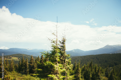 ukrainian carpathian mountains. Beautiful mountain landscape. © vadik02020
