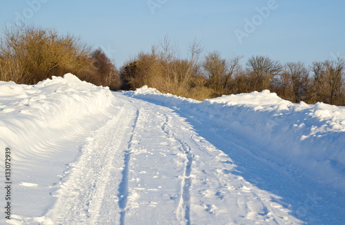 road in winter forest