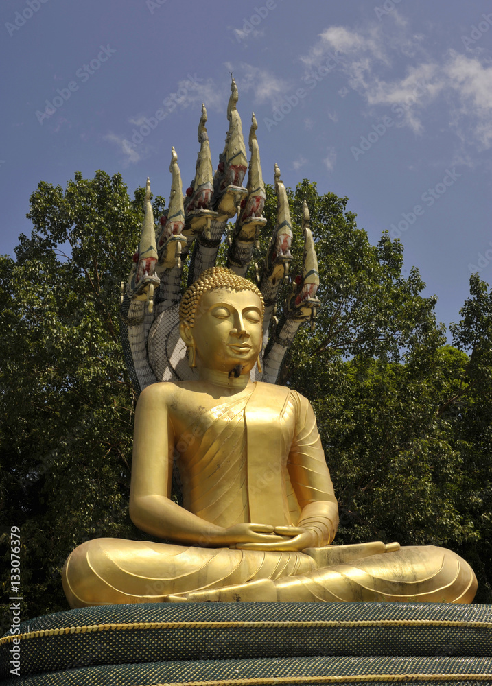 Fototapeta premium Buddha