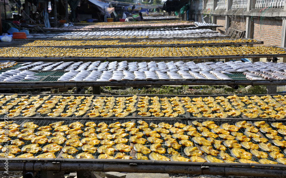 Fototapeta premium Sun drying fish
