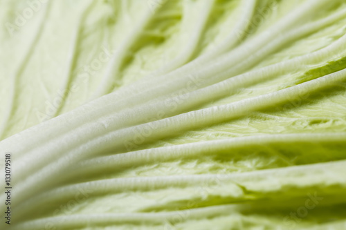 Fresh green lettuce close-up shot