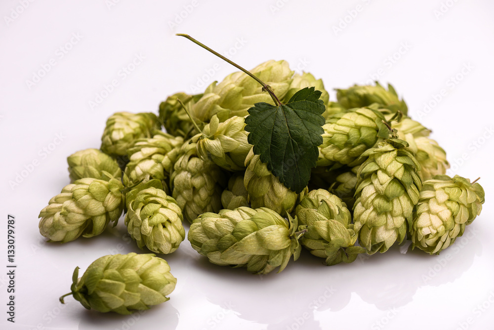 Hops and wheat, barley, malt for brewing beer on a wooden background Hops and wheat, barley, malt for brewing beer on a wooden background