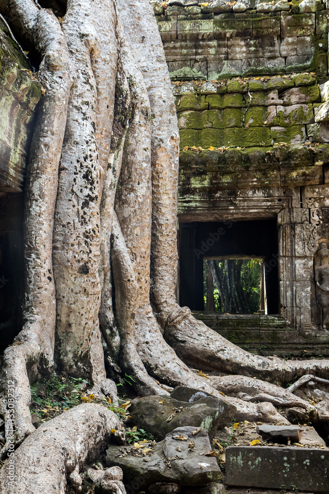 Khmer temple Ta Prohm, Angkor complex, Siem Reap Khmer temple Ta Prohm, Angkor complex, Siem Reap