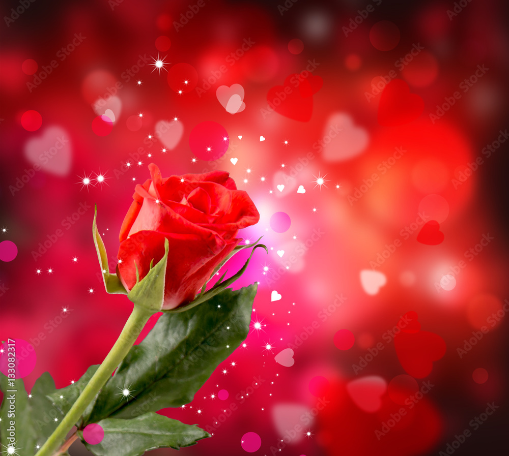 Obraz premium Roses red and Hearts background. Valentine concept. Nature and beautiful red roses bouquet on abstract background. St. Valentine's Day