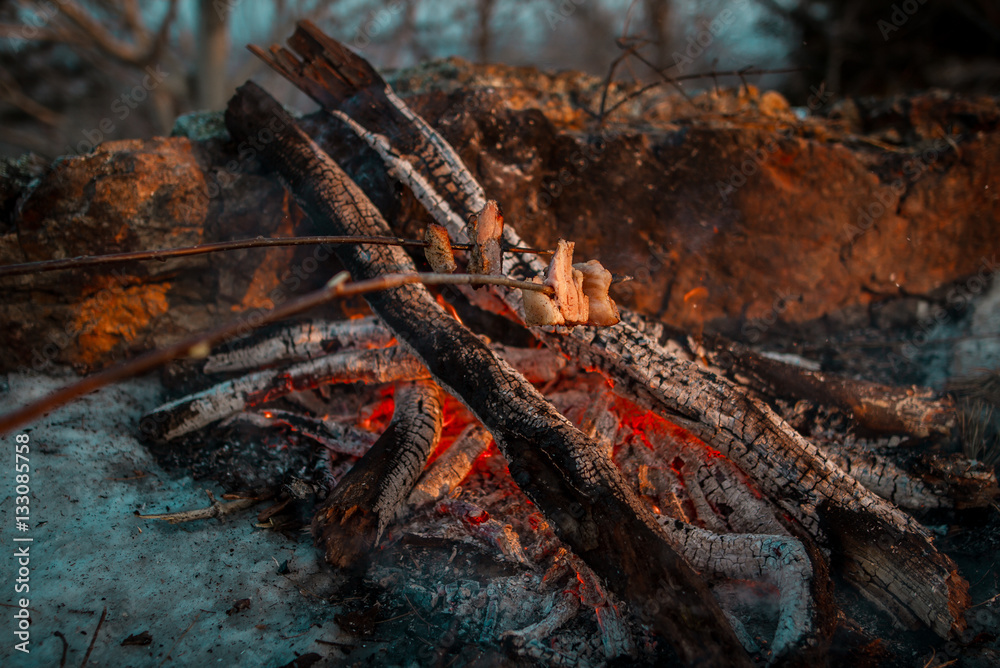 Fototapeta premium People on the nature of fried bacon on a campfire