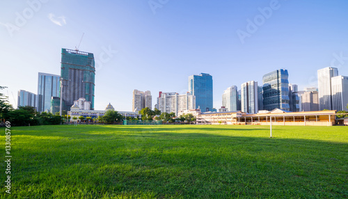 grassland green field with trees and buildings cityscape
