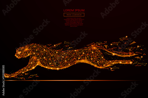 Abstract mash line and point cheetah in flames style on dark background with an inscription. Business net speed of a starry sky or space, consisting of stars and the universe. Vector illustration