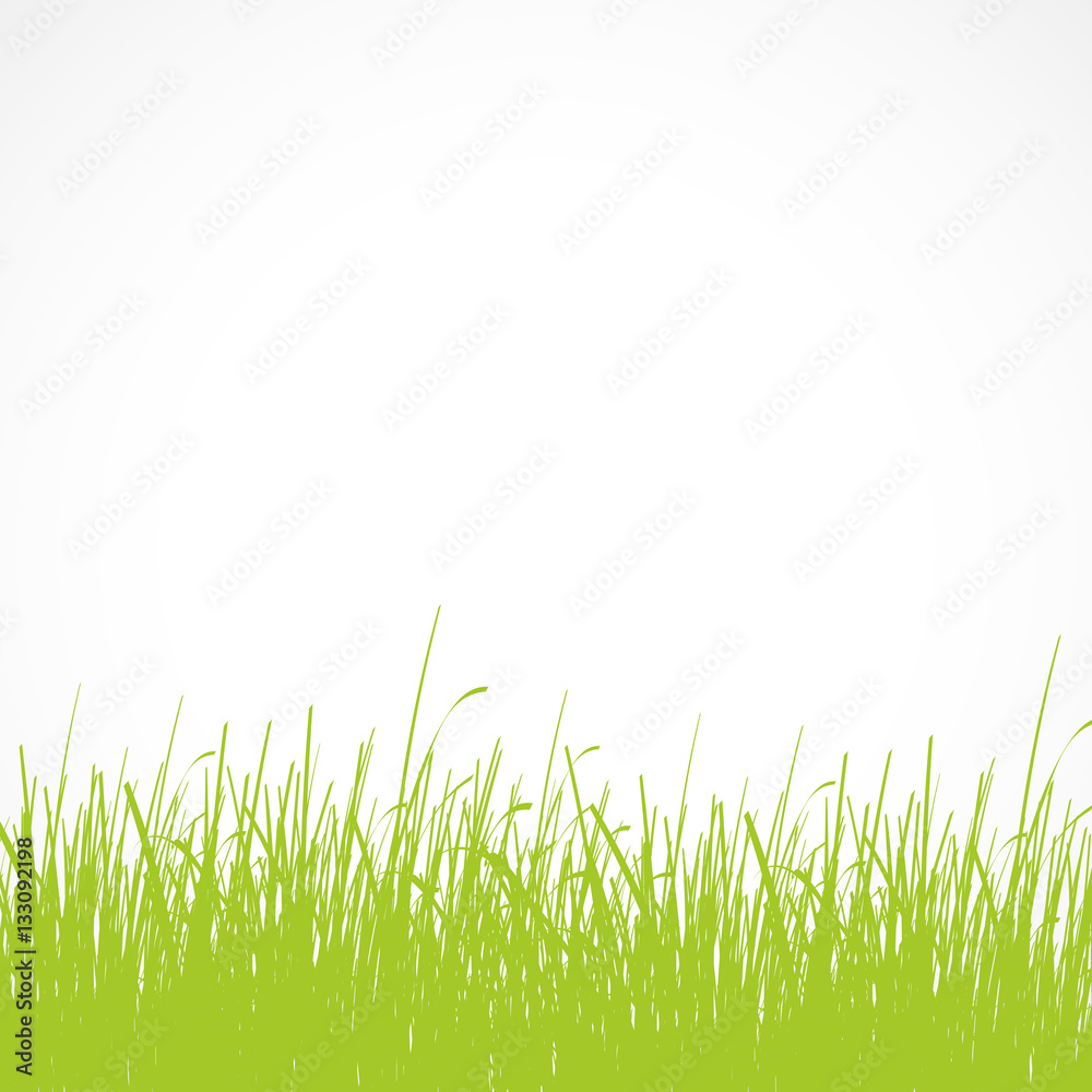 Fototapeta premium affiche,herbe verte