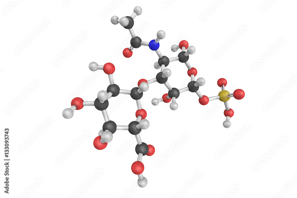 3d structure of Chondroitin sulfate, a sulfated glycosaminoglyca