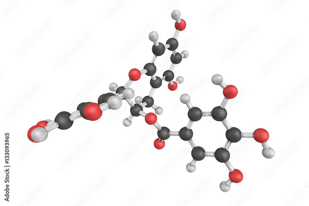 3d structure of Epigallocatechin gallate (EGCG), also known as e Stock ...