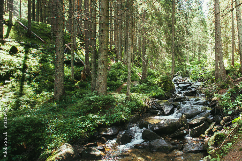 Mountain river in the Carpathian mountains, the stones in the river Mountain river in the Carpathian mountains, the stones in the river