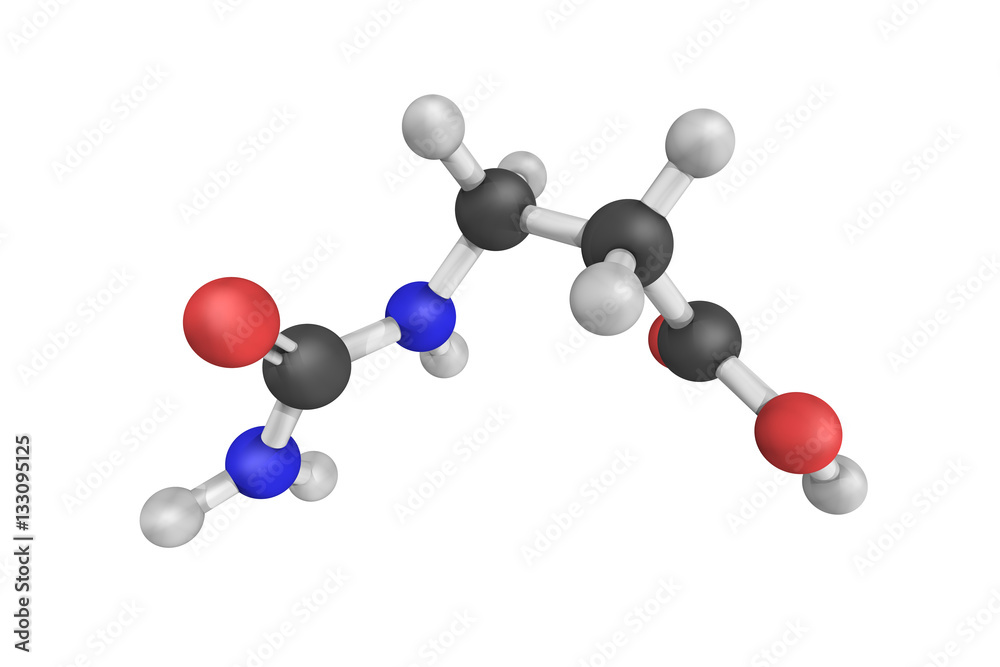 3d structure of Ureidopropionic acid, an intermediate in the met