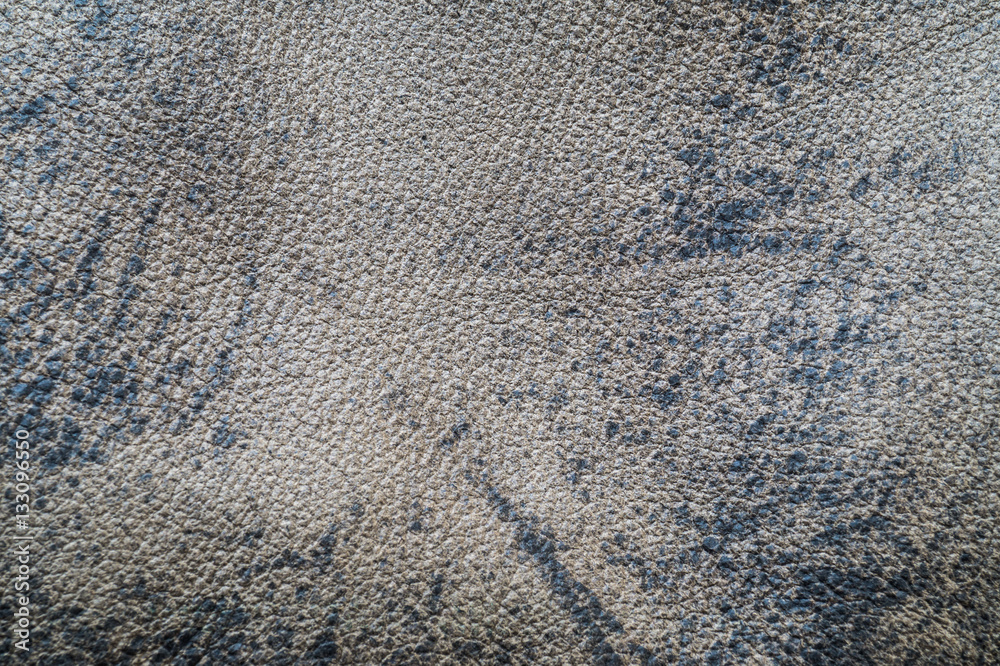 The texture of the skin