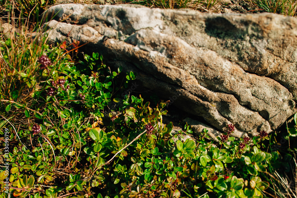 Stones in the mountains Carpathians. Beautiful mountain view