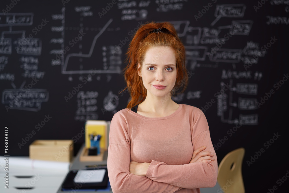 Fototapeta premium frau im büro