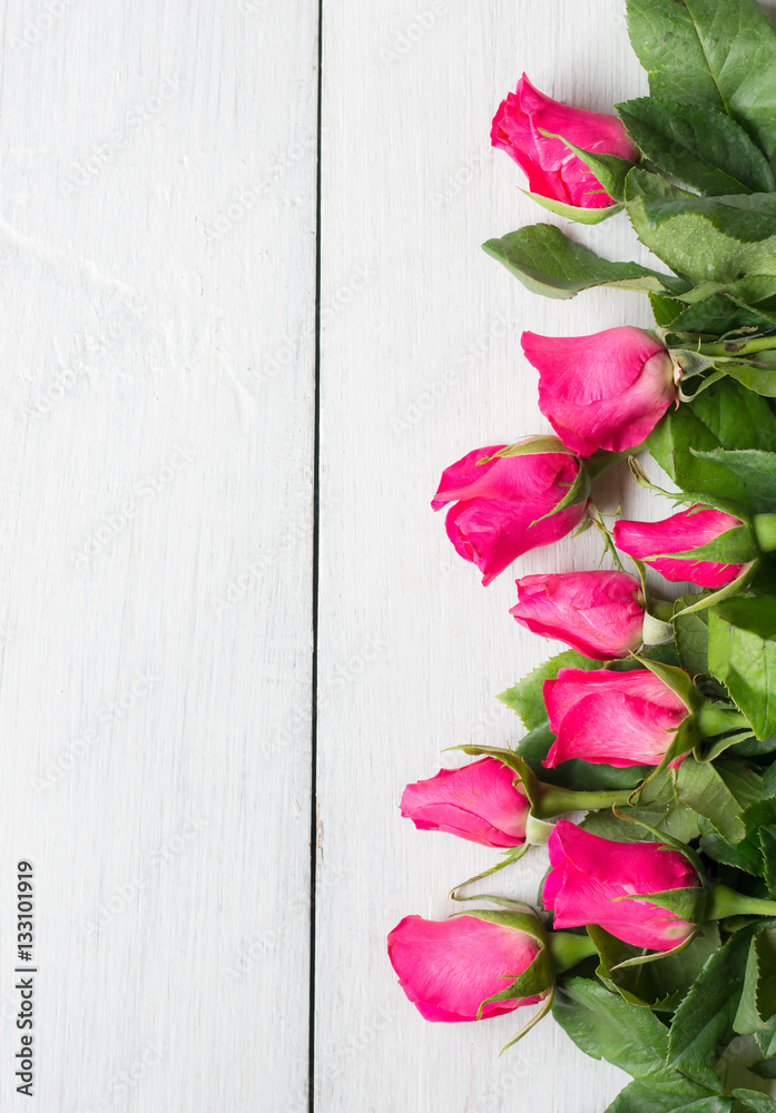 pink rose on white wooden background