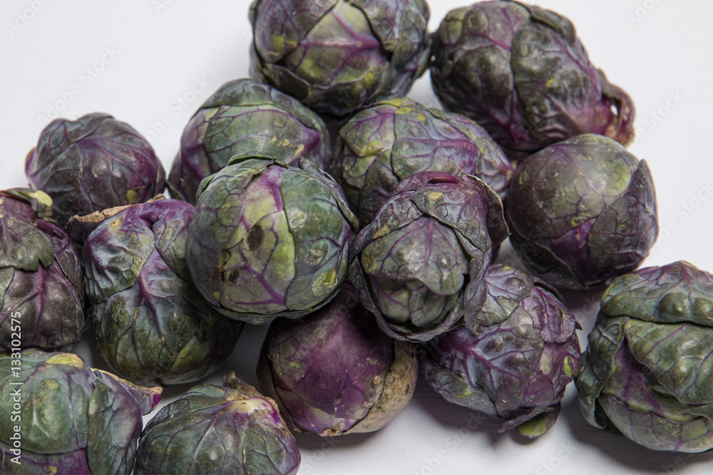 Obraz premium Lila Rosenkohl