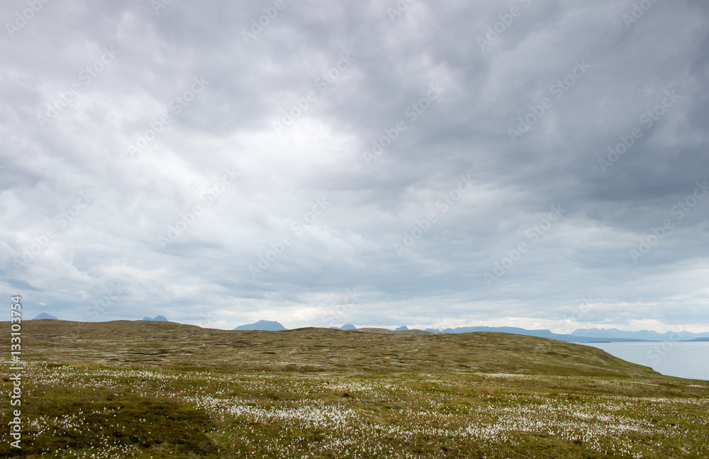 Clouds over peat fluff