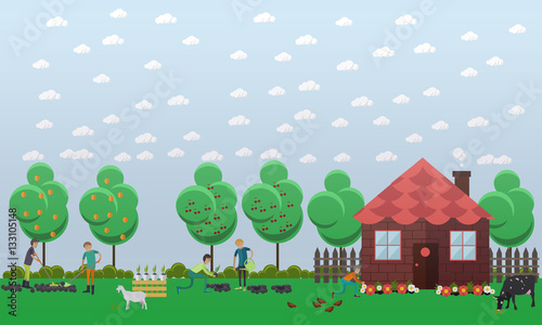Country house  planting vegetables concept vector illustration in flat style.