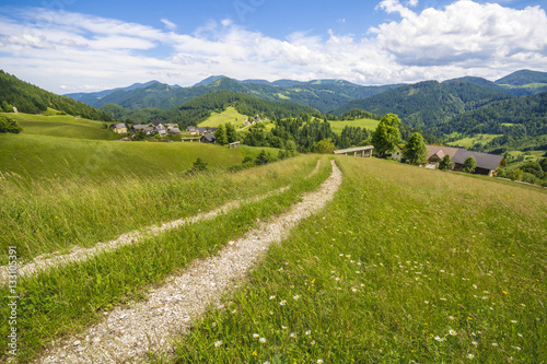 panorama of the Slovenian rural area