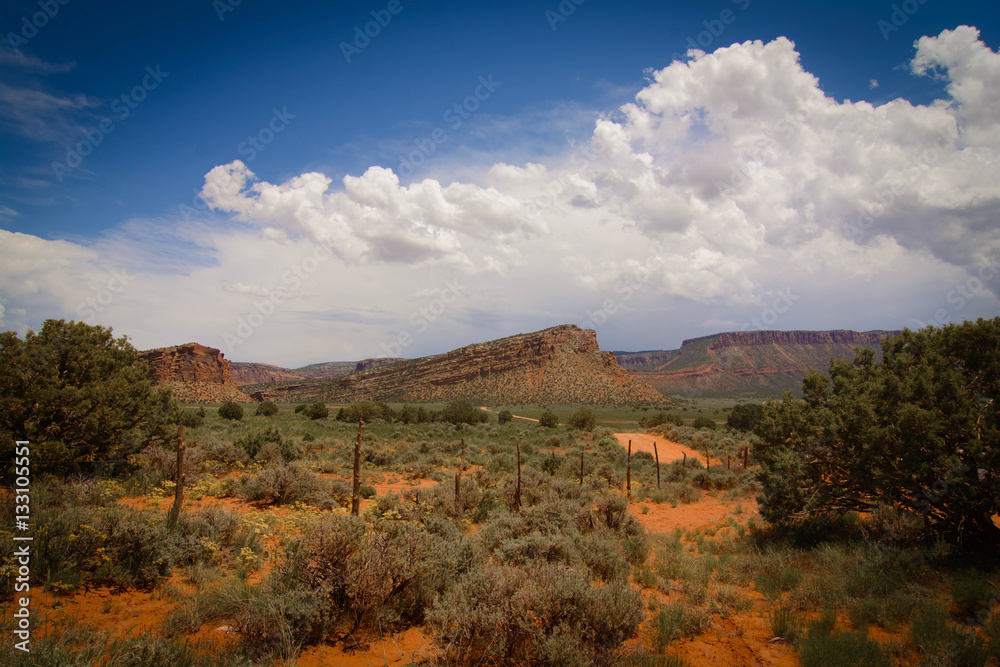 Obraz premium Utah Sediment