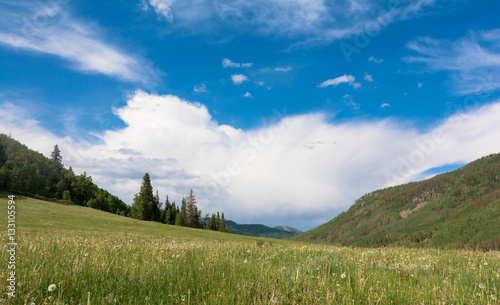 Rio Grande National Forest