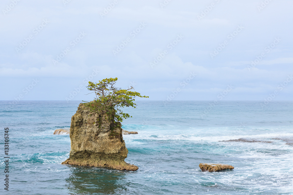 Rock islet and tree on top