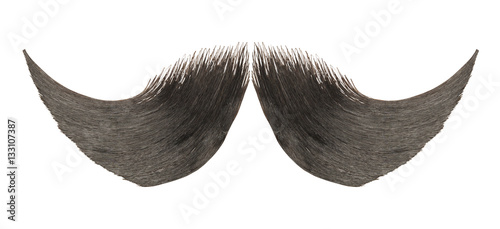 Fototapeta Brown Mustache