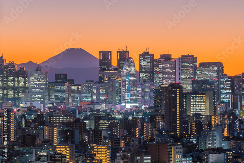 Canvas Print Tokyo skyline and Mountain fuji