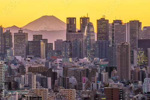 Photography Tokyo skyline and Mountain fuji