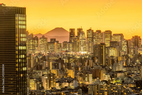 Photography Tokyo skyline and Mountain fuji