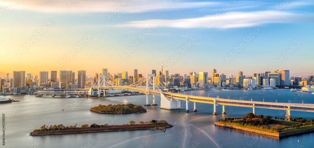 Naklejka premium Tokio linia horyzontu z Tokio wierza i tęcza mostem