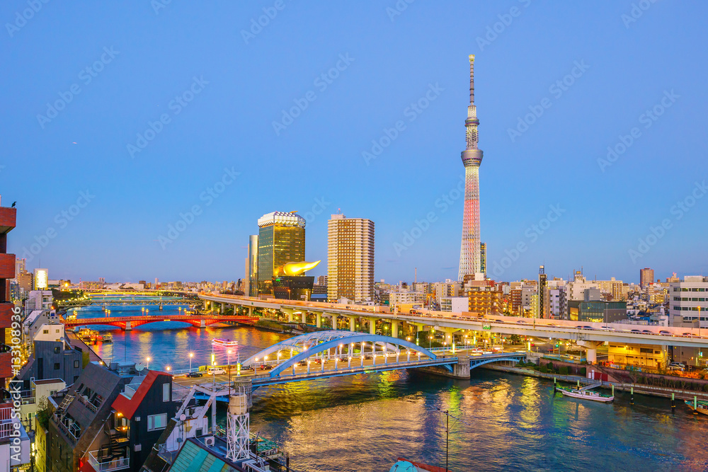 Naklejka premium Tokyo skyline with the Sumida River