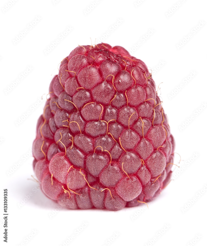 Single raspberry isolated Single raspberry isolated