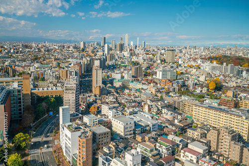 Downtown Tokyo skyline © f11photo
