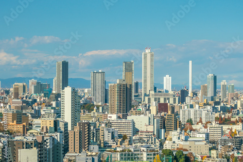 Downtown Tokyo skyline © f11photo
