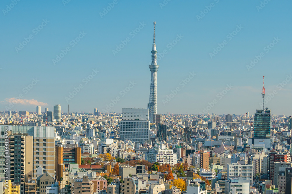 Downtown Tokyo skyline