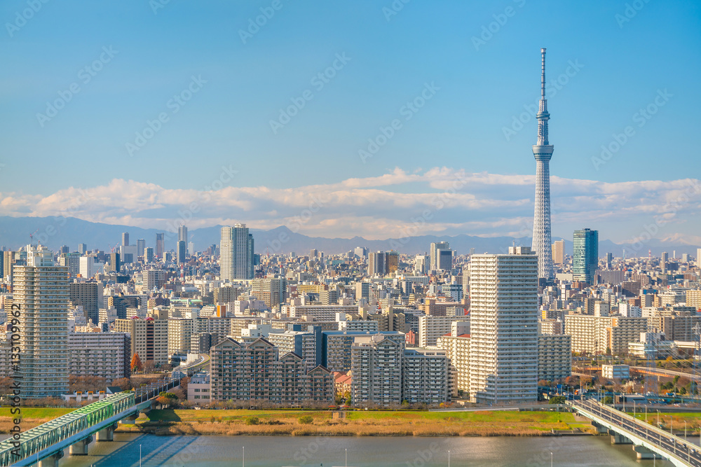 Obraz premium Downtown Tokyo skyline