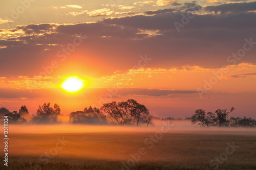 Beautiful summer morning landscape. Misty dawn.