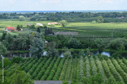 Sad na Mazowszu/The orchard in Mazovia, Poland