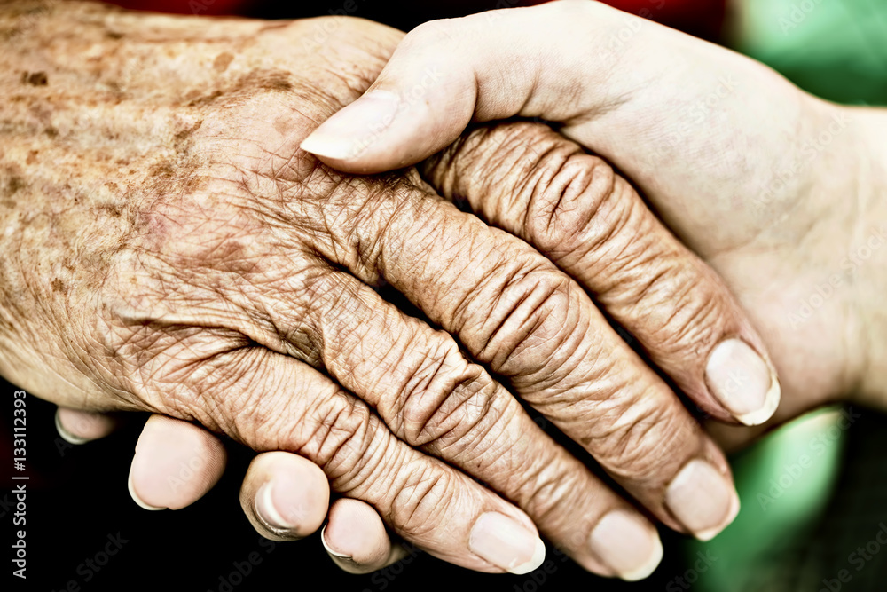 Fototapeta premium Hand einer Seniorin wird von der Hand einer jungen Frau gehalten