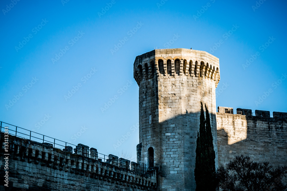 Avignon et ses remparts